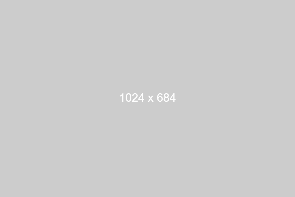 Img-placeholder-1024x684-1 ecologique