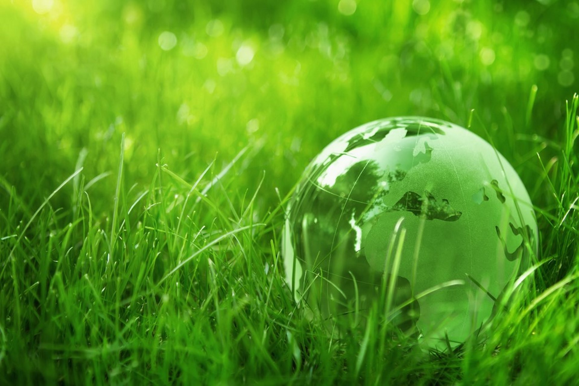 environnement-Copier